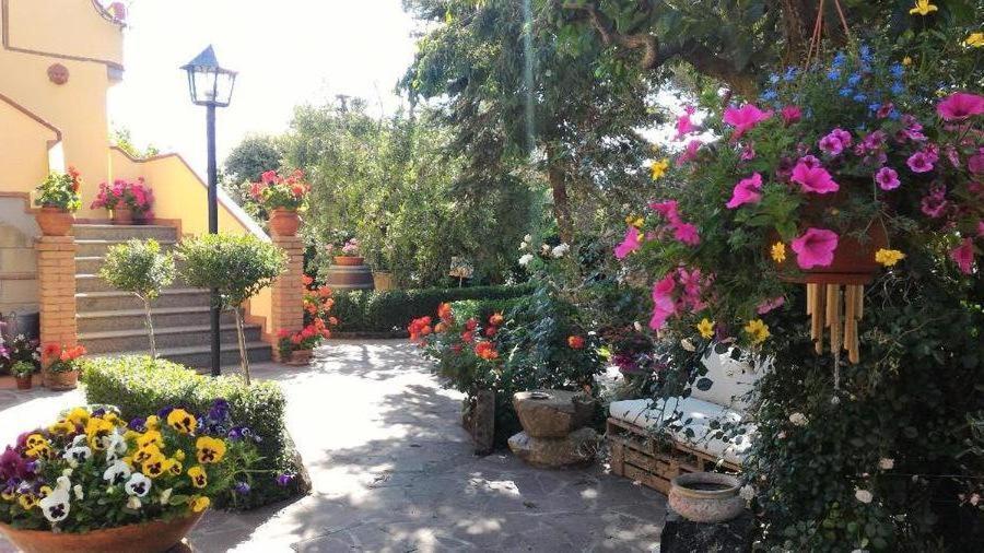 Bed And Breakfast Val Di Lupa คาสเตลลินา มาริตติมา ภายนอก รูปภาพ